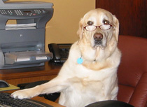 My ghostwriter