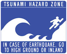 Christina_Dodd_Tsunami_Warning