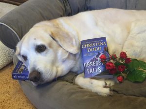 Christina_Dodd_OFG_Ritter