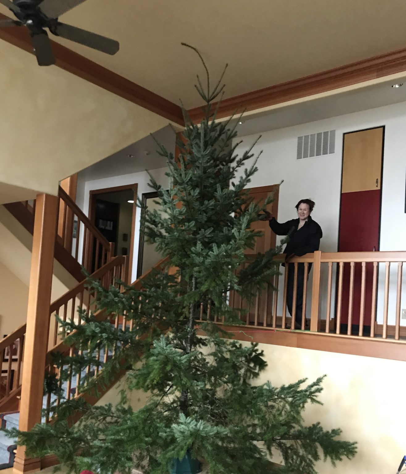 Christina Dodd Drags the Christmas Tree…Uphill Christina Dodd